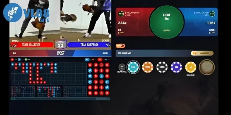 Đá gà Hướng dẫn cược chọi gà đơn giản cho người mới